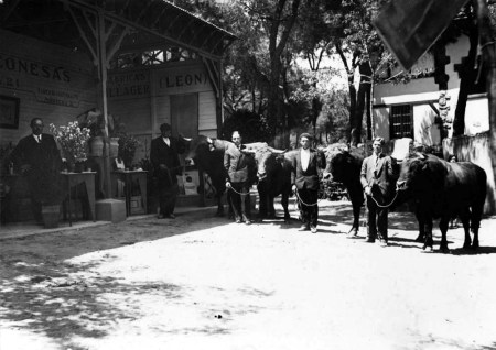 exposicion-de-mantequerias-en-un-congreso-agricola-en-madrid-19301